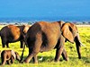 Přivítání s Afrikou - obrázek č. 3